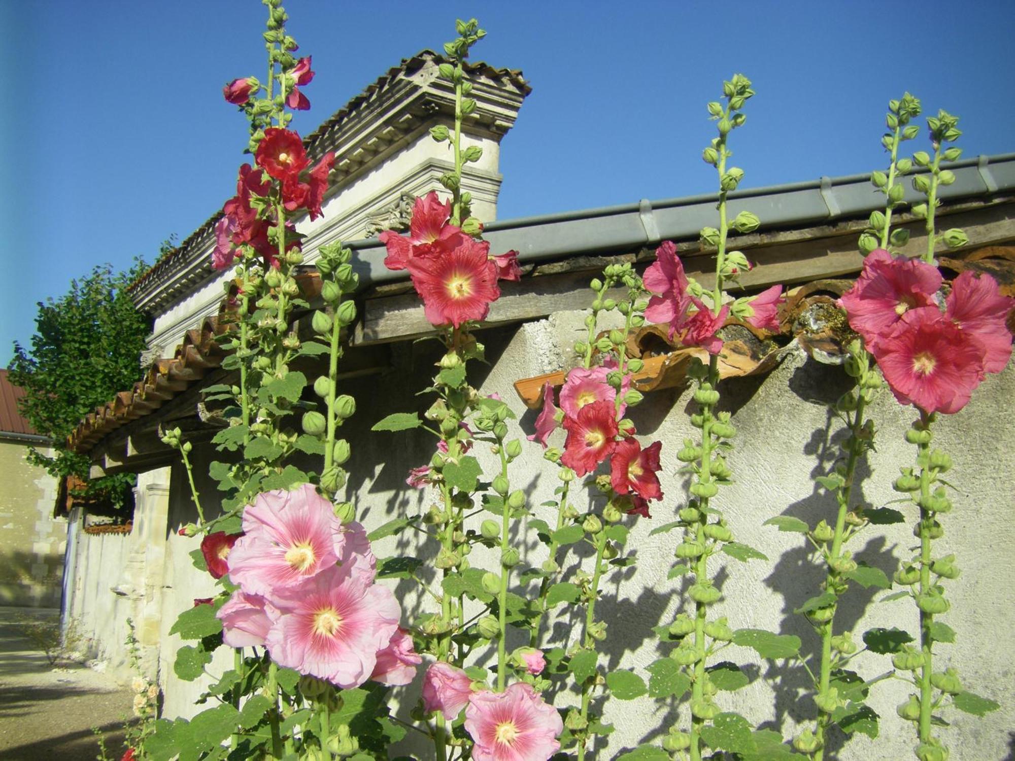 皮尔斯布朗住宿加早餐旅馆 布里苏阿亚克 外观 照片